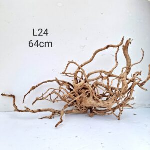 Redmoor Root L24