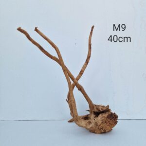 Redmoor Root M9
