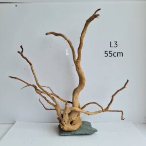 Redmoor Root On Slate L3