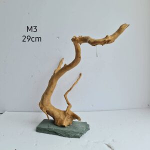 Redmoor Root On Slate M3
