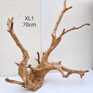 Redmoor Root XL1