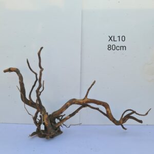 Redmoor Root XL10