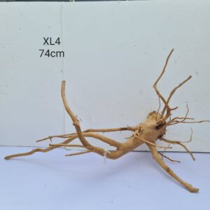 Redmoor Root XL4