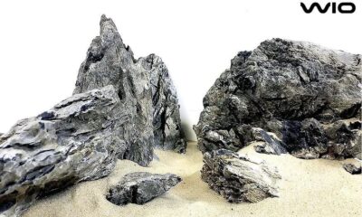 Seiryu Stone per KG - Mixed Sizes