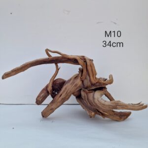 Trunk Wood M10