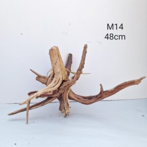 Trunk Wood M14