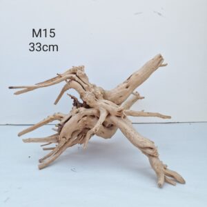 Trunk Wood M15