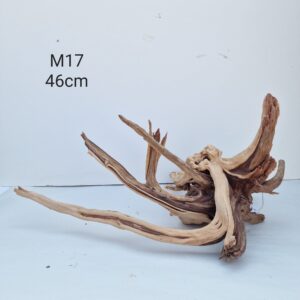 Trunk Wood M17
