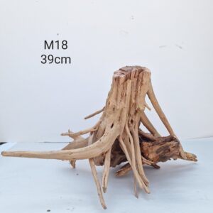 Trunk Wood M18