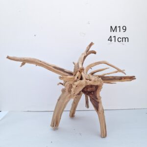 Trunk Wood M19