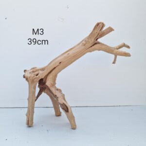 Trunk Wood M3