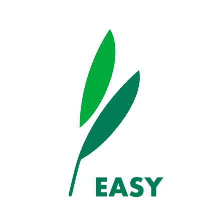 Vesicularia ferriei ‘Weeping Moss’ – Dennerle In-Vitro