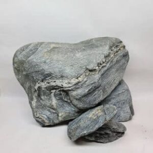 Wild Rhino Stone