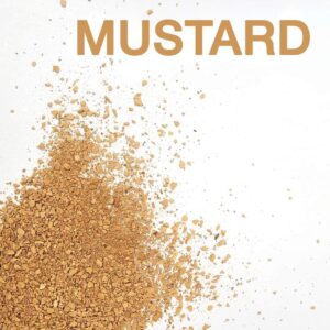 Wio Wetland Artist Mustard 2KG - Fine