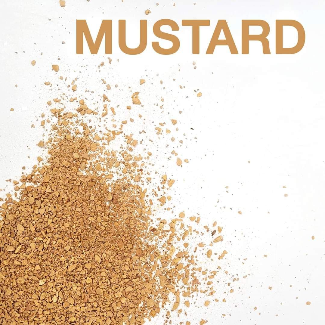 Wio Wetland Artist Mustard 2KG – Fine
