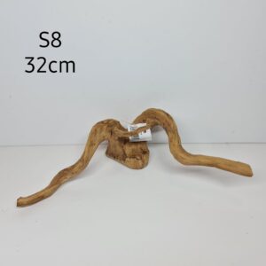 Wood Root Polished S8