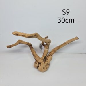 Wood Root Polished S9
